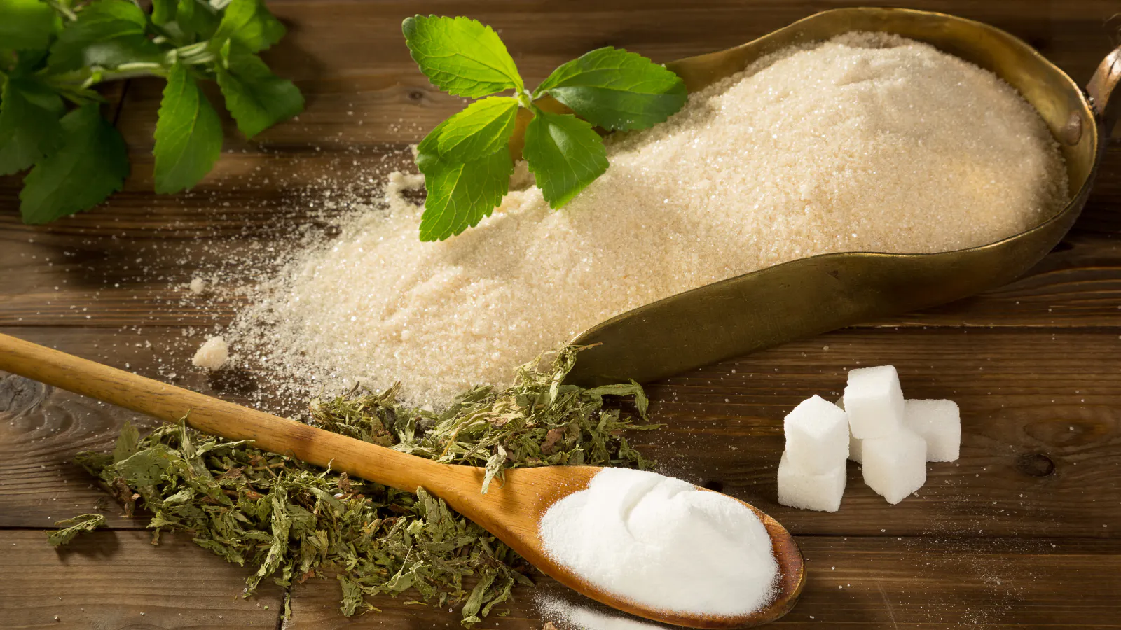 Large scoop filled with Stevia grains, next to a smaller spoon, stevia leaves, and stevia cubes.